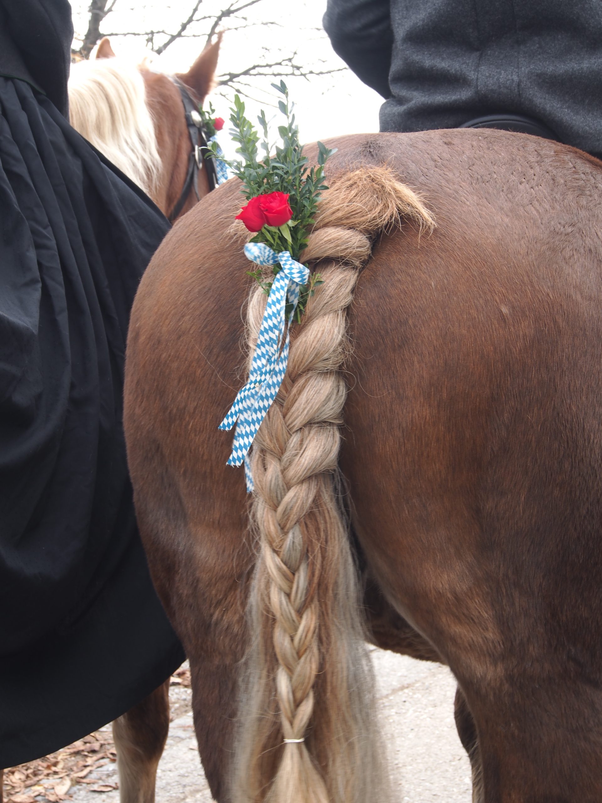 OLYMPUS DIGITAL CAMERA Leonhardiritt Nußdorf am Inn. Fotos: Copyright Elisabeth Eder