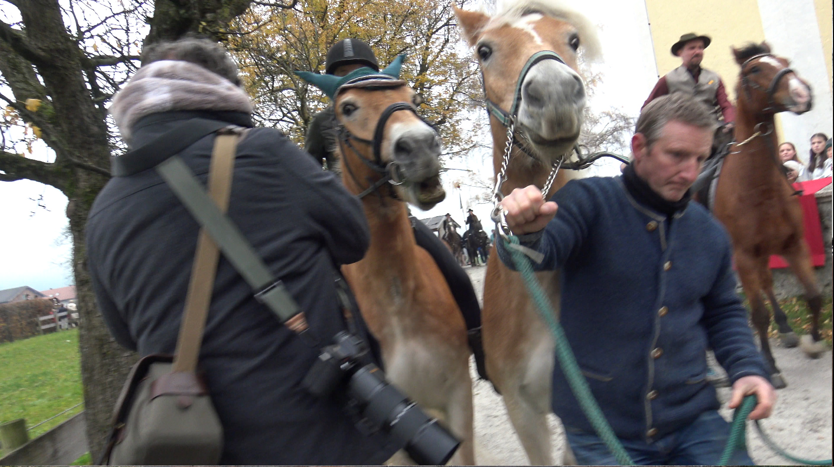 Leonhar (2) Leonhardiritt Nußdorf am Inn. Fotos: Copyright Elisabeth Eder
