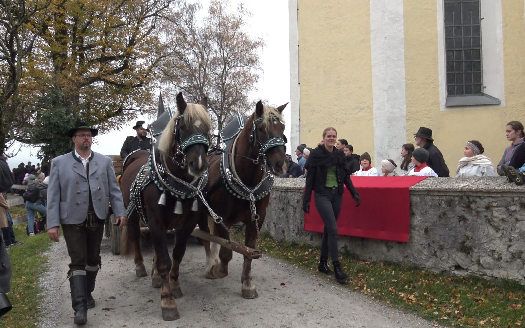 Traditioneller Leonhardiritt in Nußdorf zieht rund 1500 Gläubige an