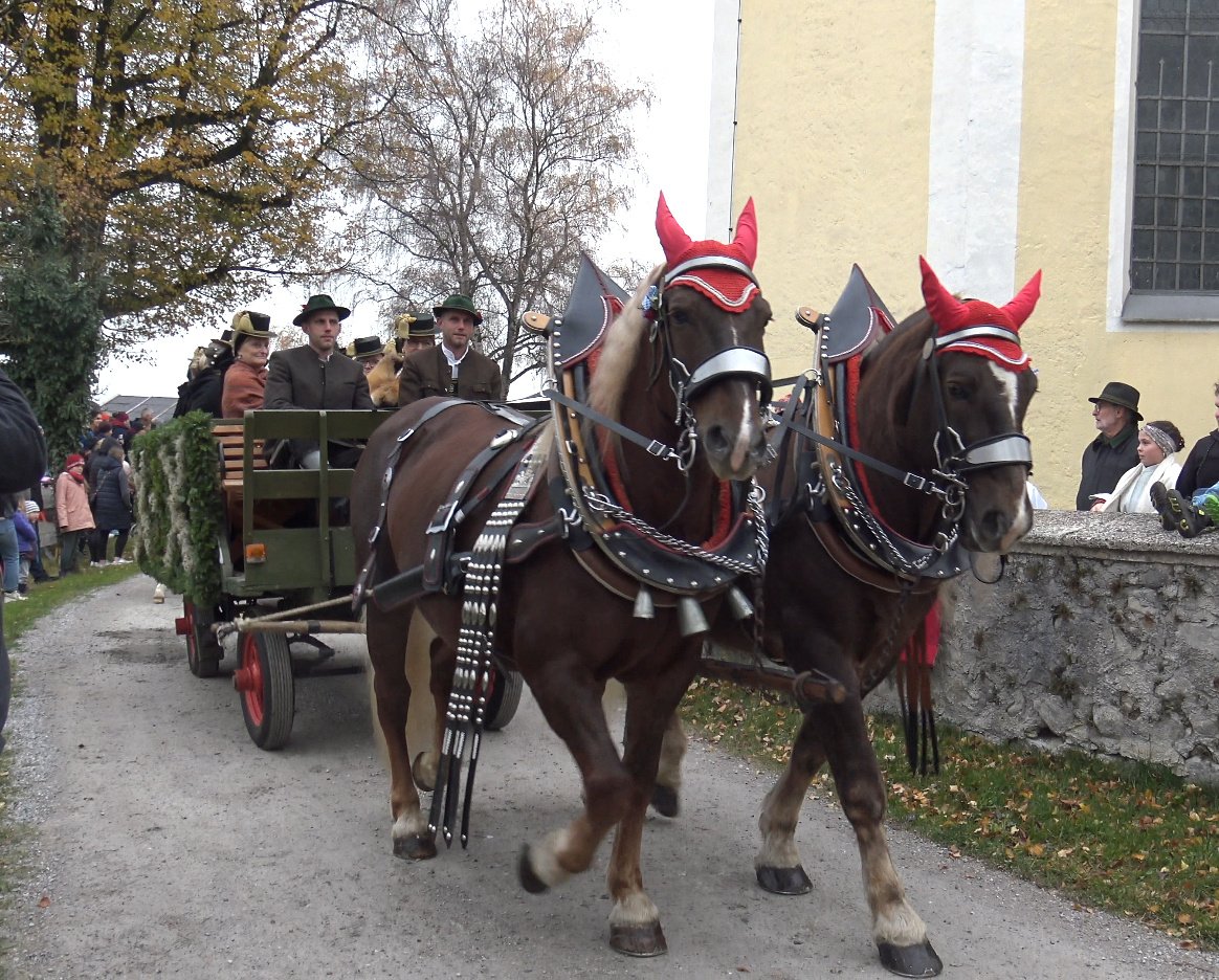 Leonhar (25) Leonhardiritt Nußdorf am Inn. Fotos: Copyright Elisabeth Eder