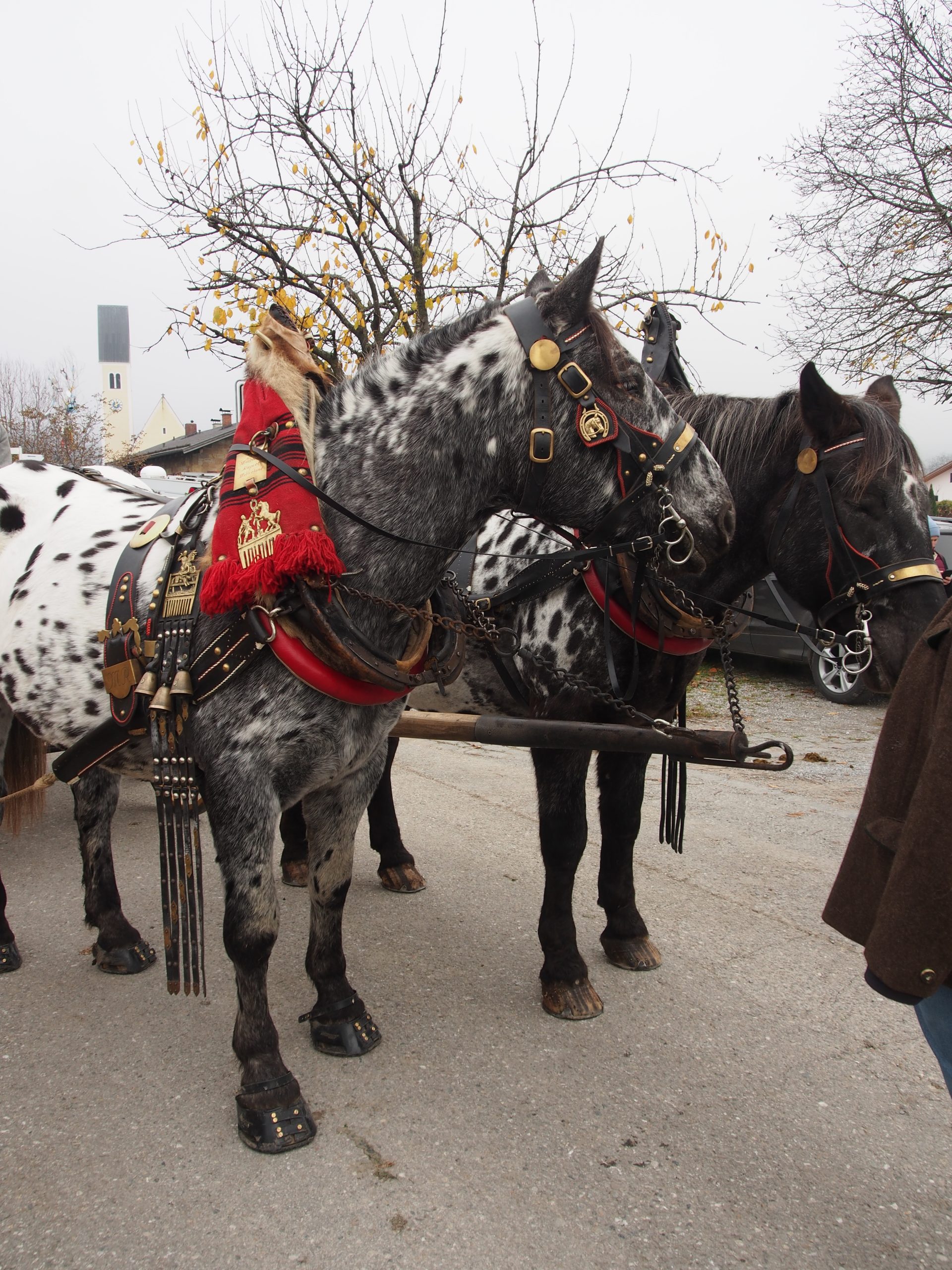 OLYMPUS DIGITAL CAMERA Leonhardiritt Nußdorf am Inn. Fotos: Copyright Elisabeth Eder