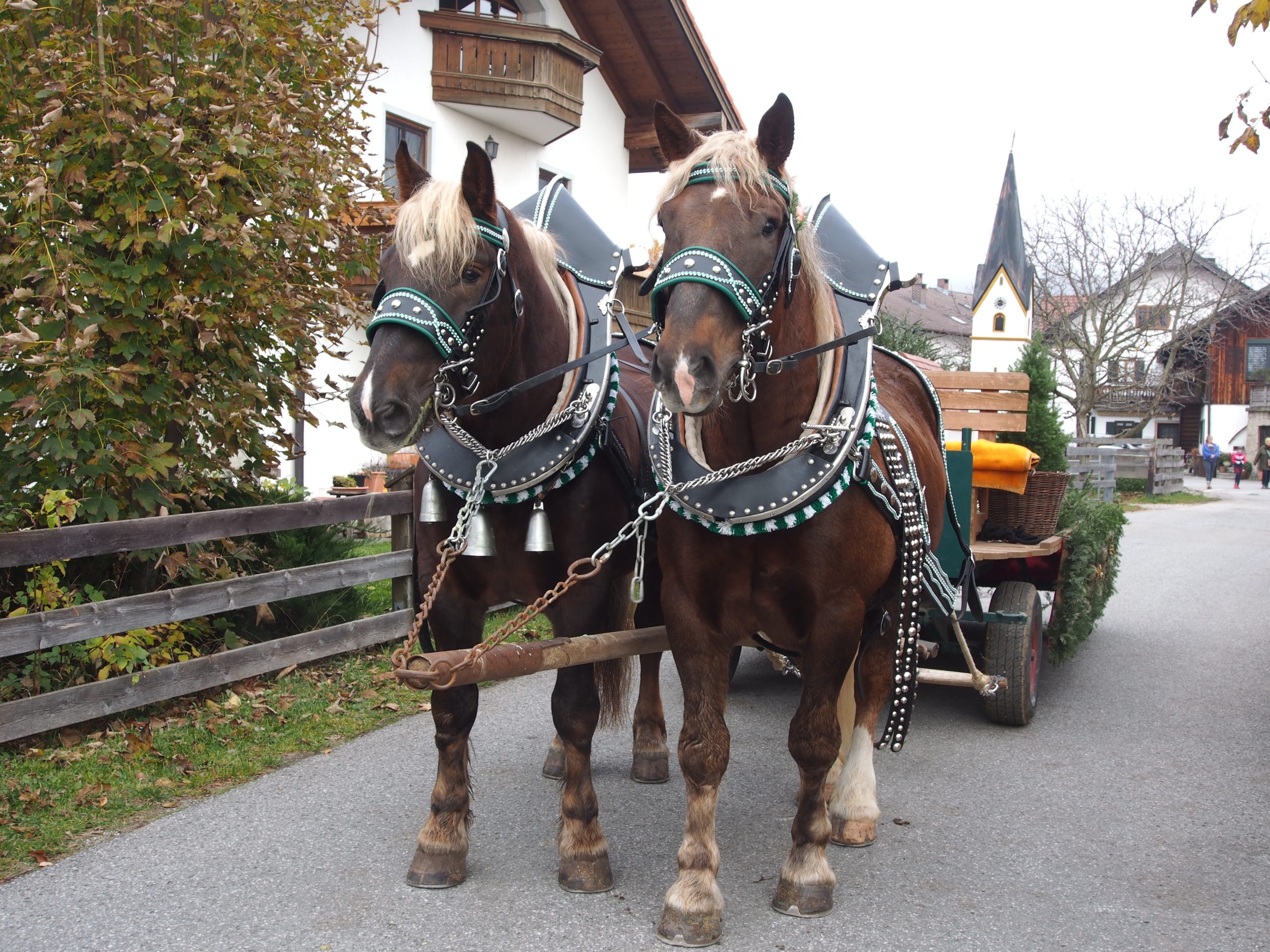 OLYMPUS DIGITAL CAMERA Leonhardiritt Nußdorf am Inn. Fotos: Copyright Elisabeth Eder