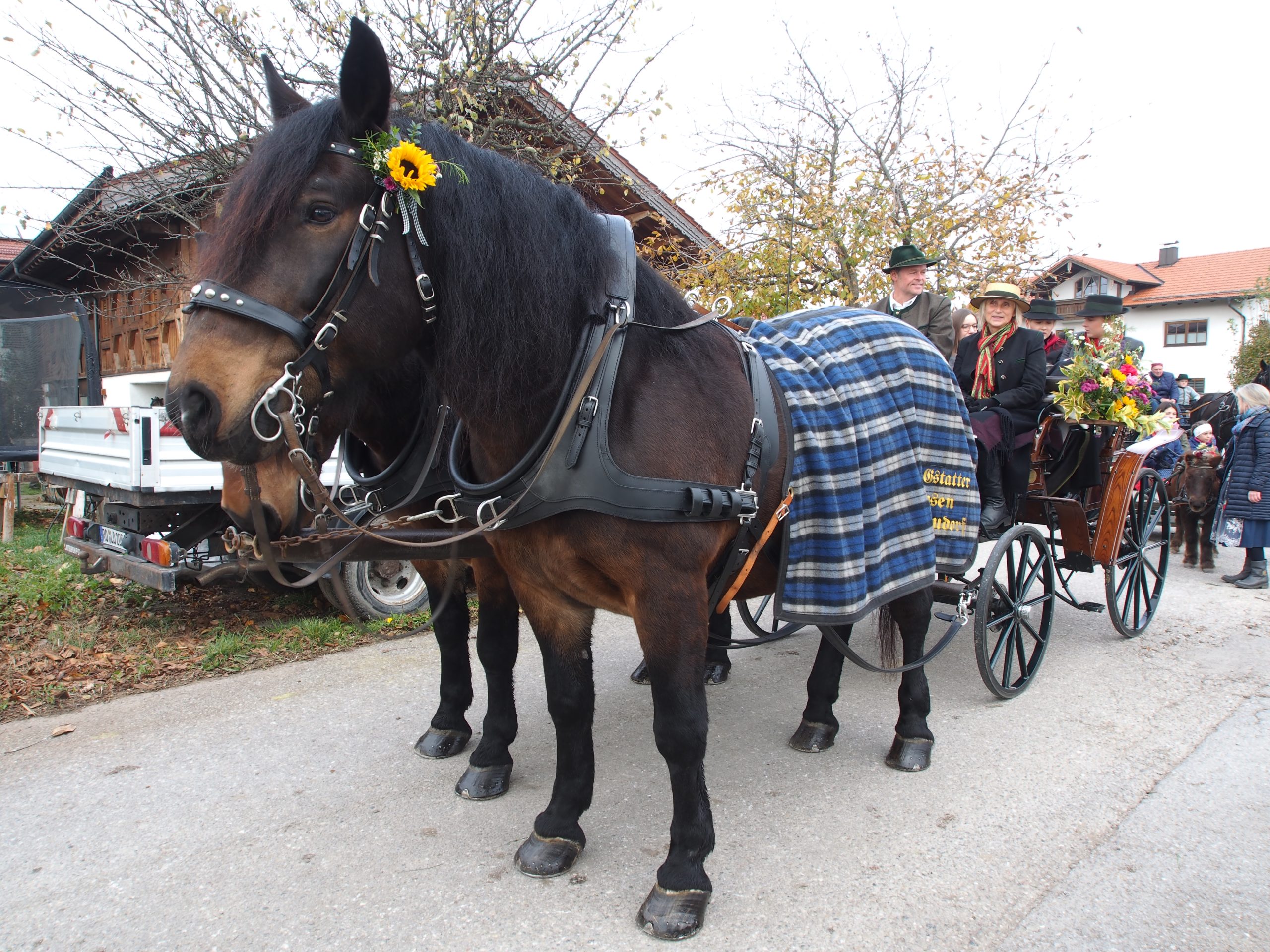 OLYMPUS DIGITAL CAMERA Leonhardiritt Nußdorf am Inn. Fotos: Copyright Elisabeth Eder