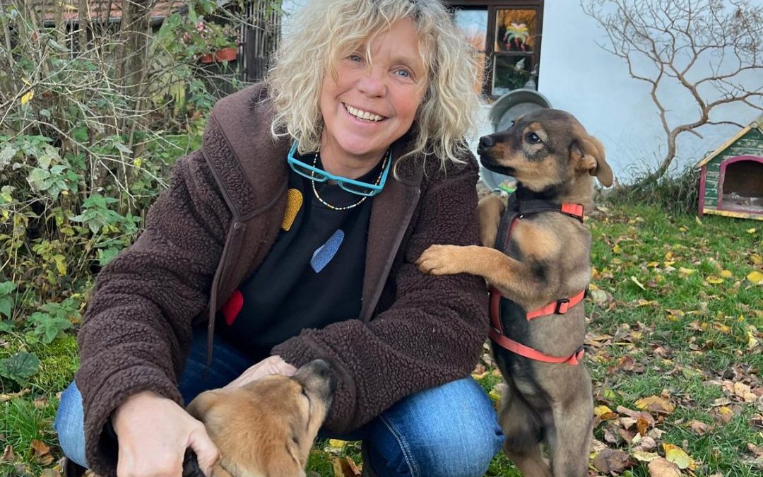 Ein Licht für Vierbeiner: Wie Dogship Bayern Hunde aus Not rettet