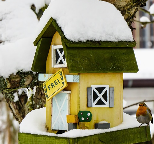 Hast du mal nen Kern? – So werden die Vögel im Garten satt