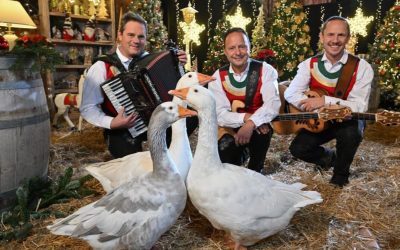 Traditionssendung feiert TV-Comeback: Weihnachten auf Gut Aiderbichl 2025
