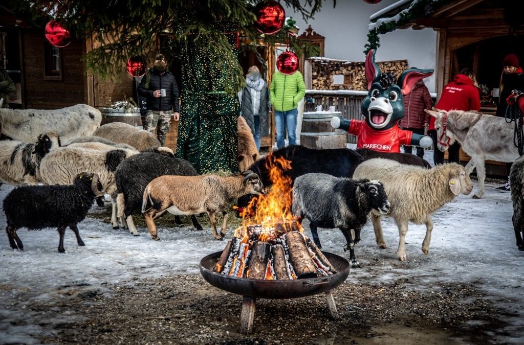 Adventzauber auf Gut Aiderbichl Iffeldorf: Ein tierisches Weihnachtserlebnis für die ganze Familie