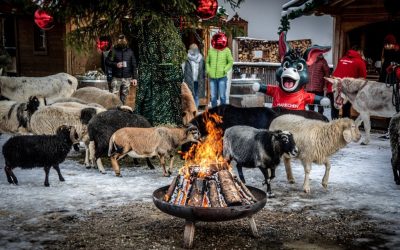 Adventzauber auf Gut Aiderbichl Iffeldorf: Ein tierisches Weihnachtserlebnis für die ganze Familie