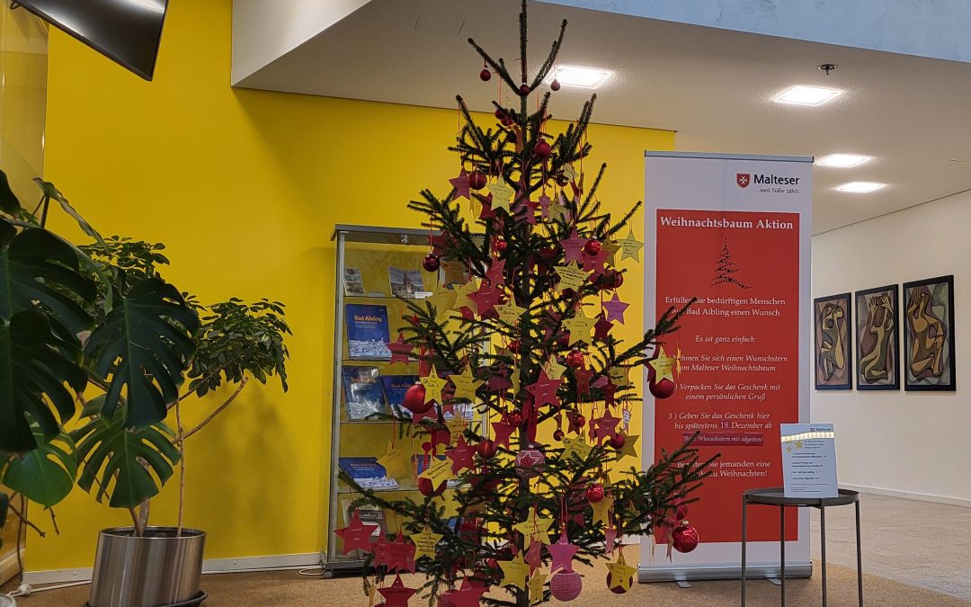 Kleine Herzenswünsche zu Weihnachten erfüllen