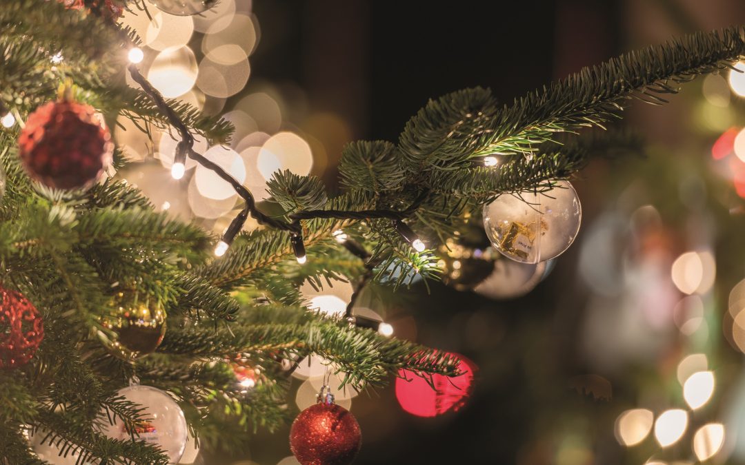 Winterwald und Eislaufbahn in Prien: Saison startet