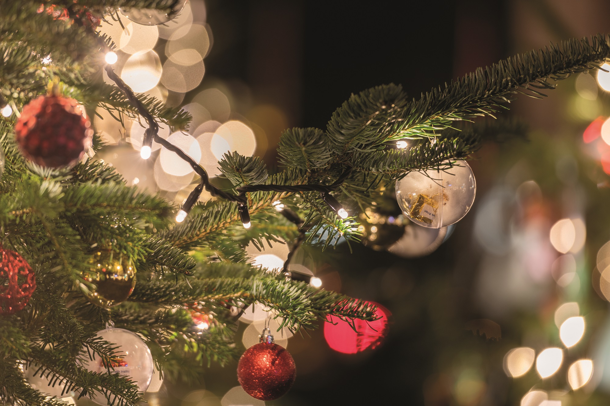 01 Winterwald c-Markt Prien a. Chiemsee, Tanja Ghirardini Winterwald Prien. Foto: Copyright Prien am Chiemsee-Tanja Ghirardini