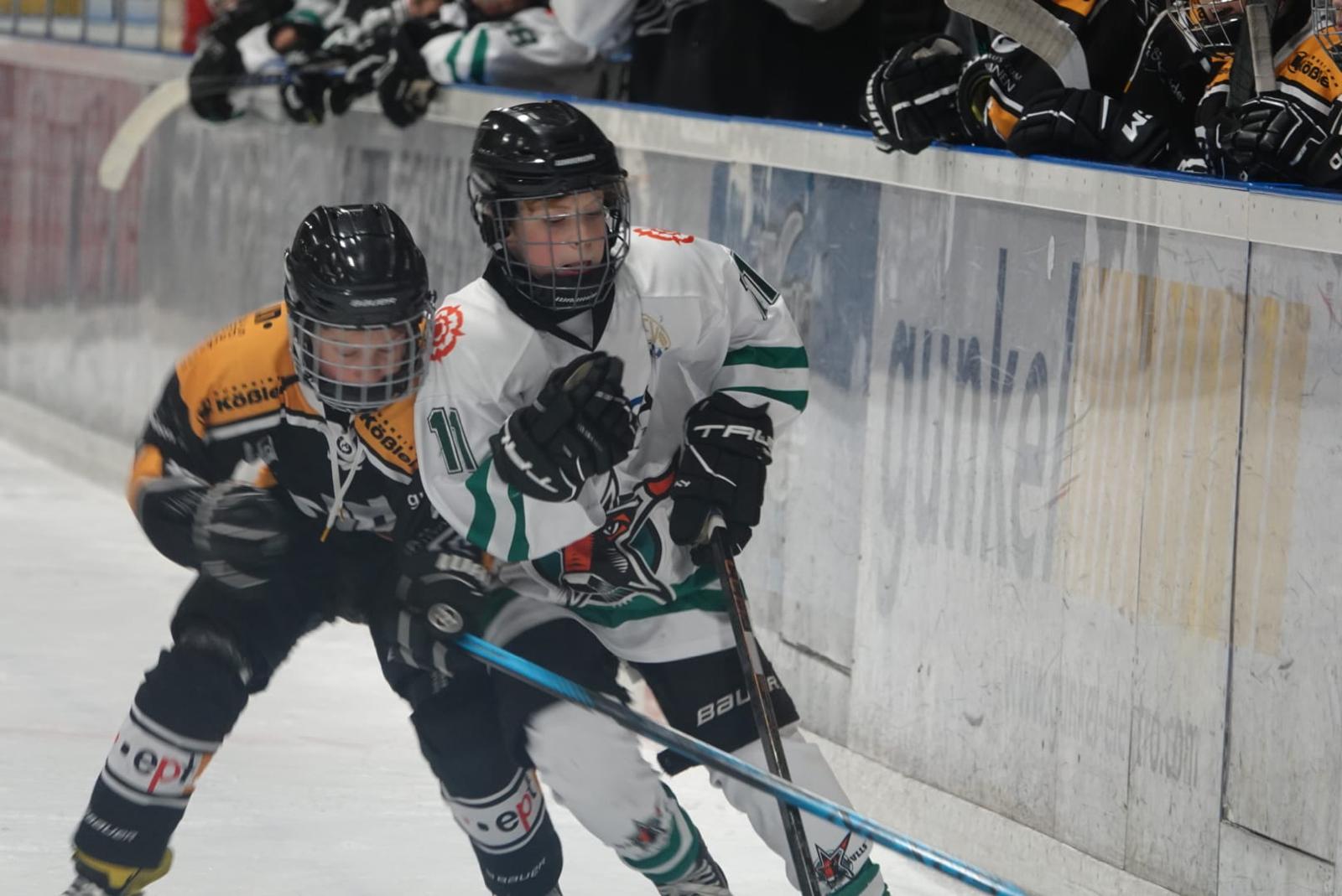 07.12. Der Starbulls-Nachwuchs konnte am Wochenende einige wichtige Siege erringen. Foto: Copyright Starbulls Rosenheim