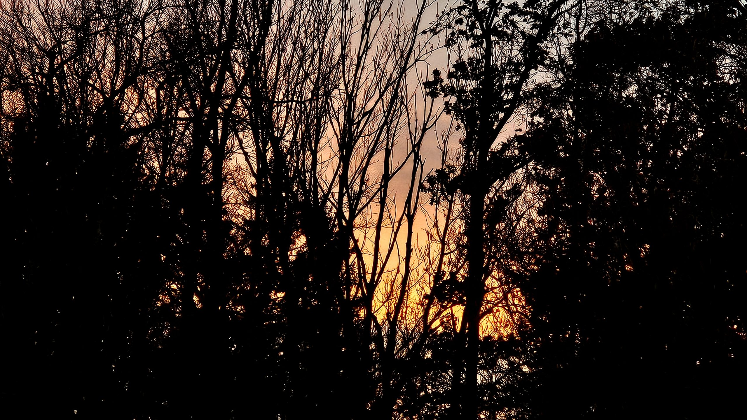 sonnenuntergang Sonnenuntergang Copyright Josefa Staudhammer