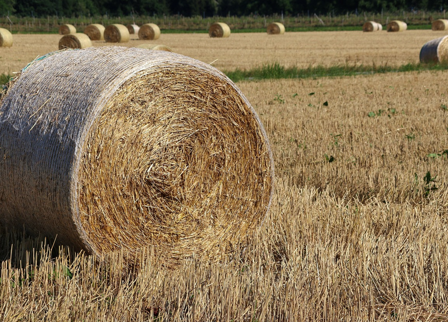 Heu Heuballen. Foto: re