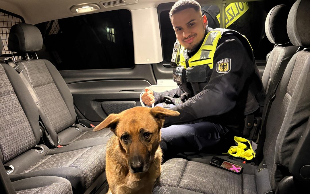 Heimstetten: Bundespolizei sichert Hund am S-Bahnhaltepunkt