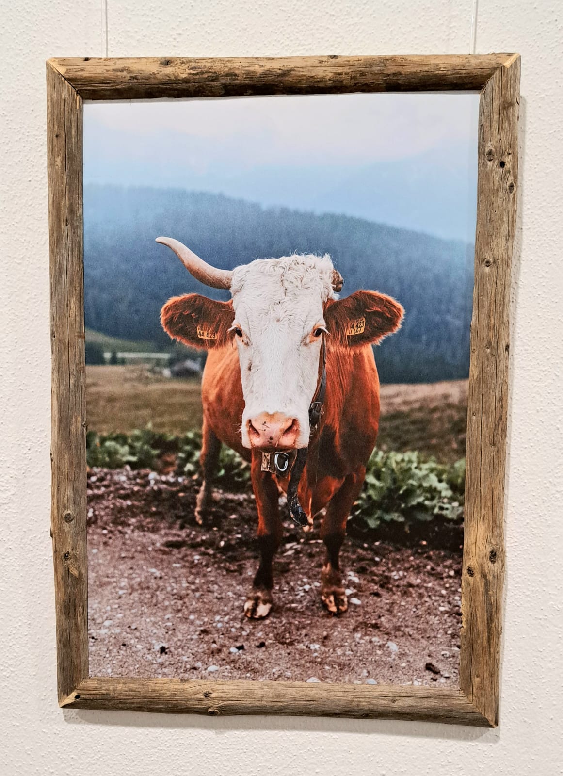 Kunstausstellung im Landratsamt Traunstein noch bis zum 24. April 2026 zu sehen. Fotos: Copyright Hendrik Heuser