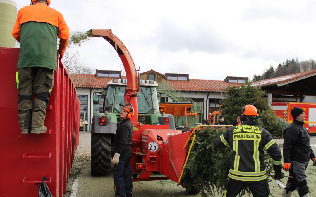 Wohin mit dem ausgedienten Weihnachtsbaum? Feuerwehren sammeln am 10. Januar in Traunstein und Surberg