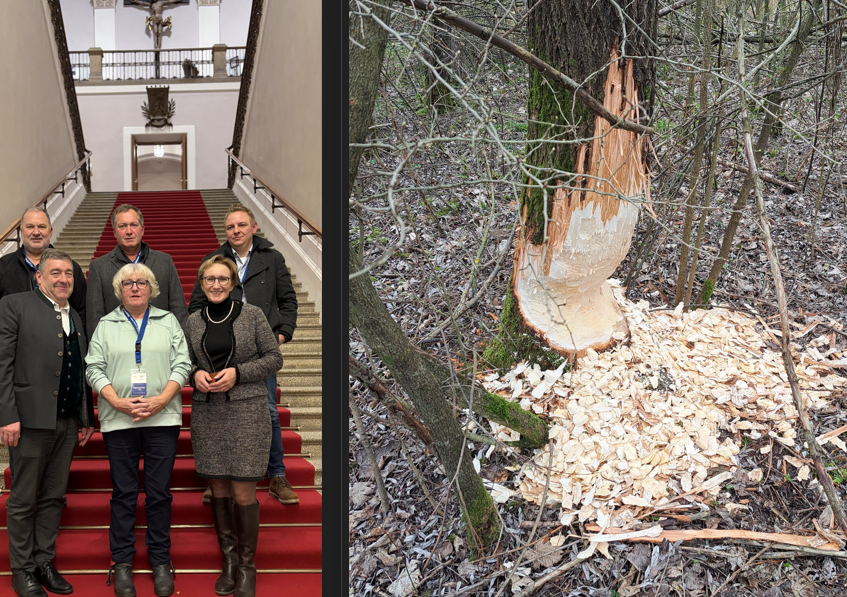 Runder Tisch zu Bibern im Landkreis