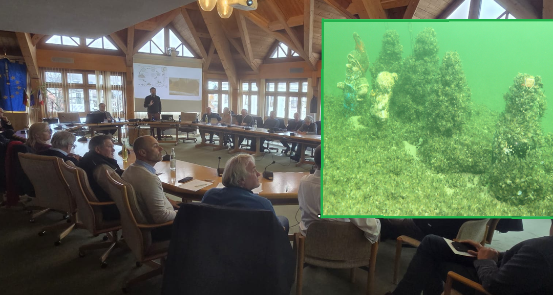 Quaggamuschel breitet sich im Chiemsee aus – Fachleute fordern koordinierte Maßnahmen