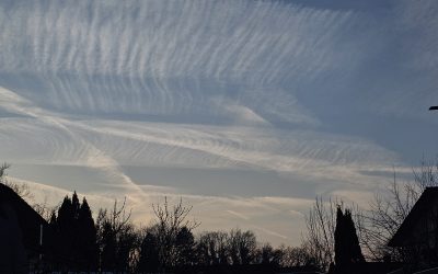 MorgenINNPULS – Schon gewusst?