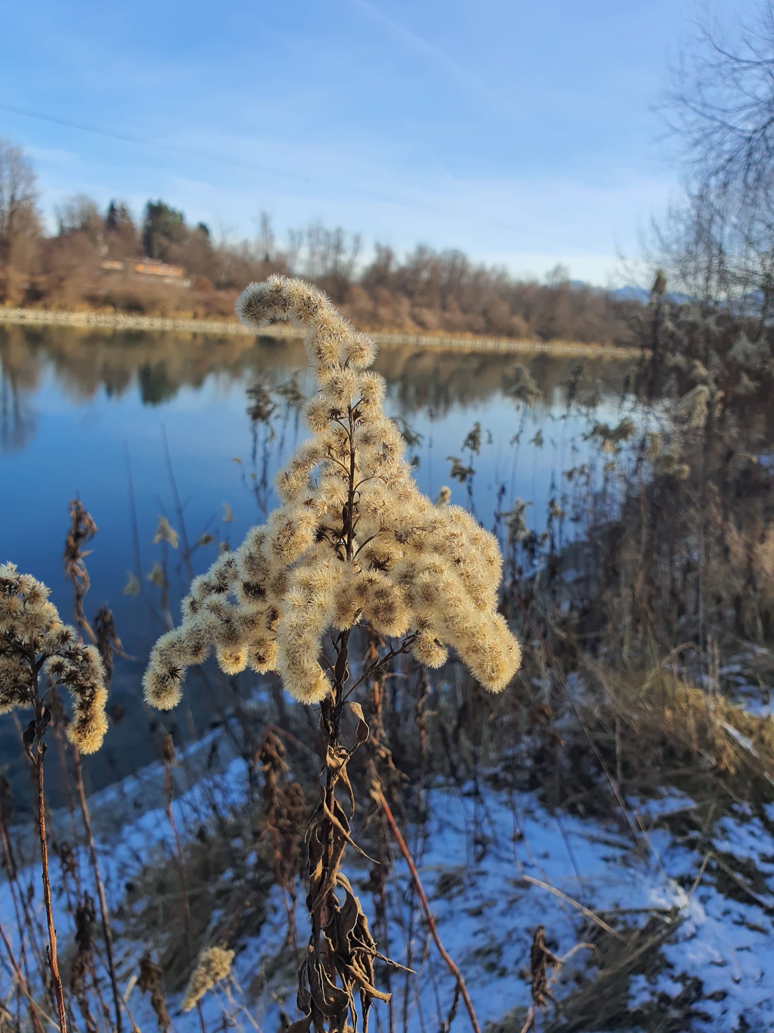 Inn Am Inn Copyright Ferdinand Staudhammer