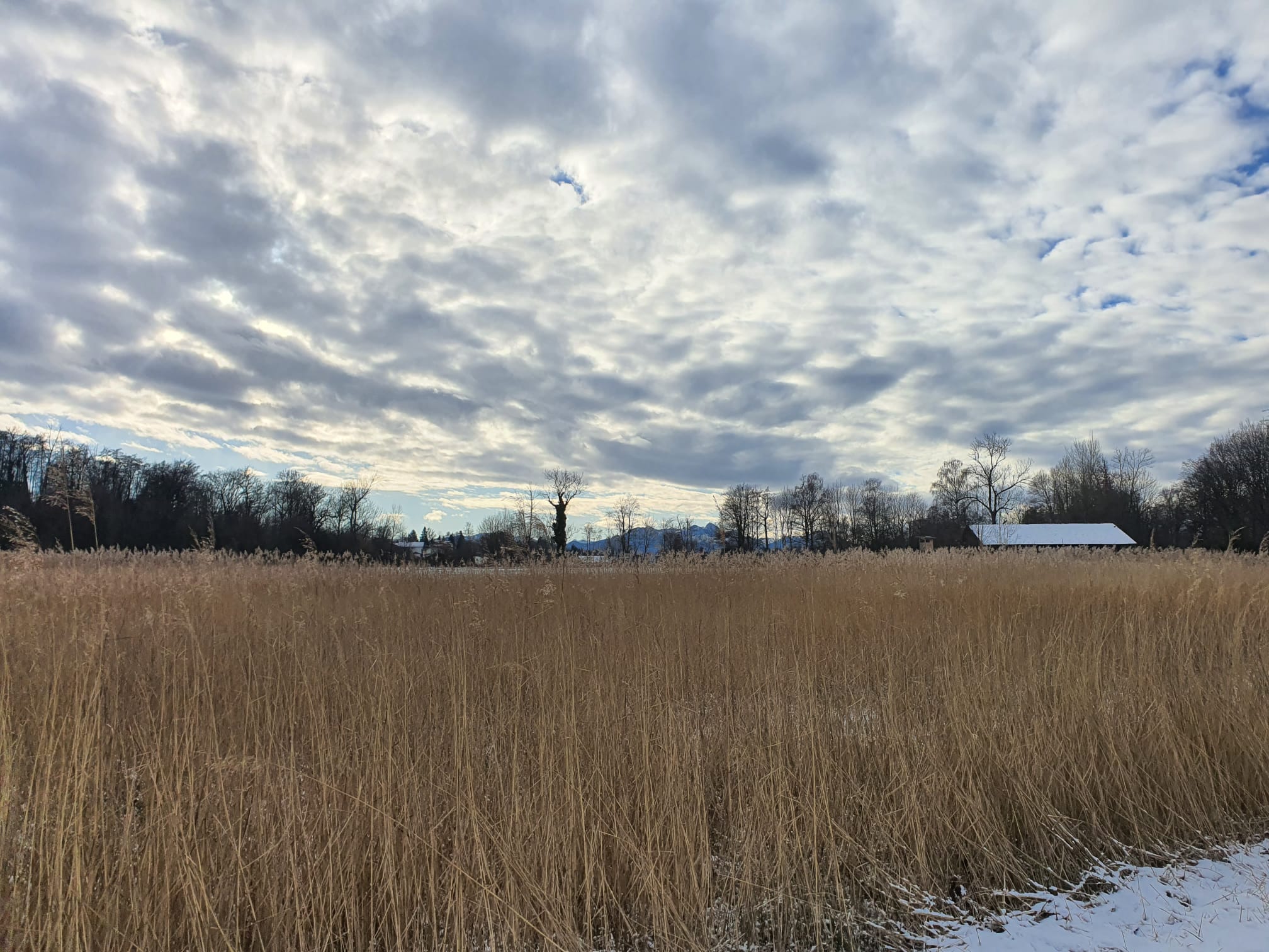 Winter Feld bei Winter. Copyright Ferdinand Staudhammer