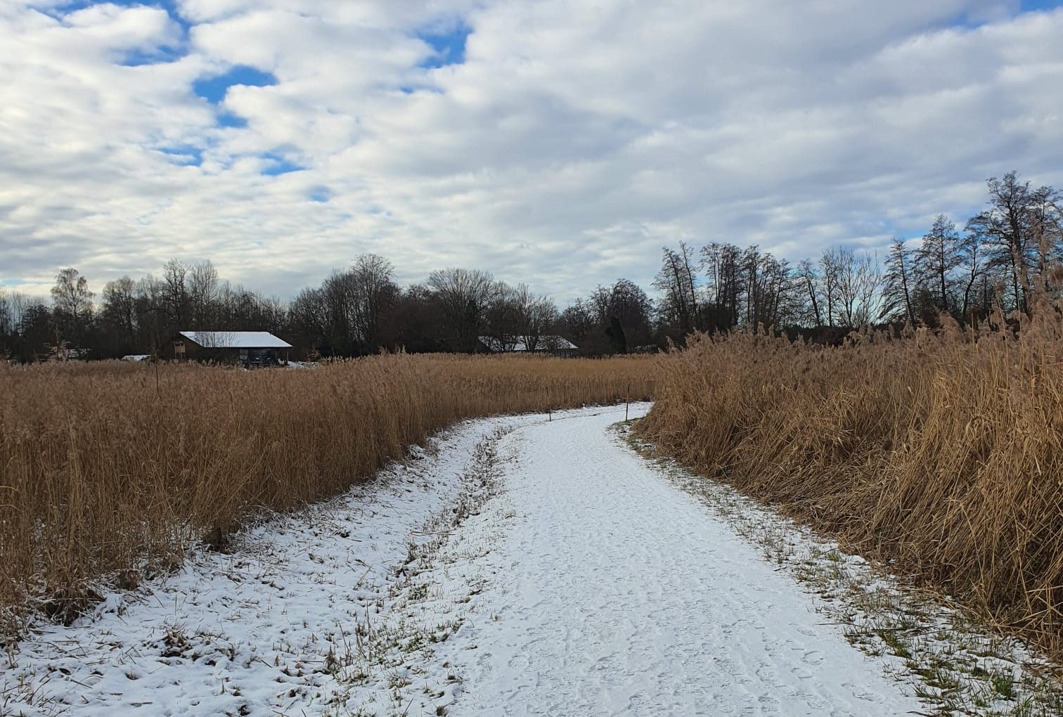 Winter Weg mit Schnee, Copyright Ferdinand Staudhammer