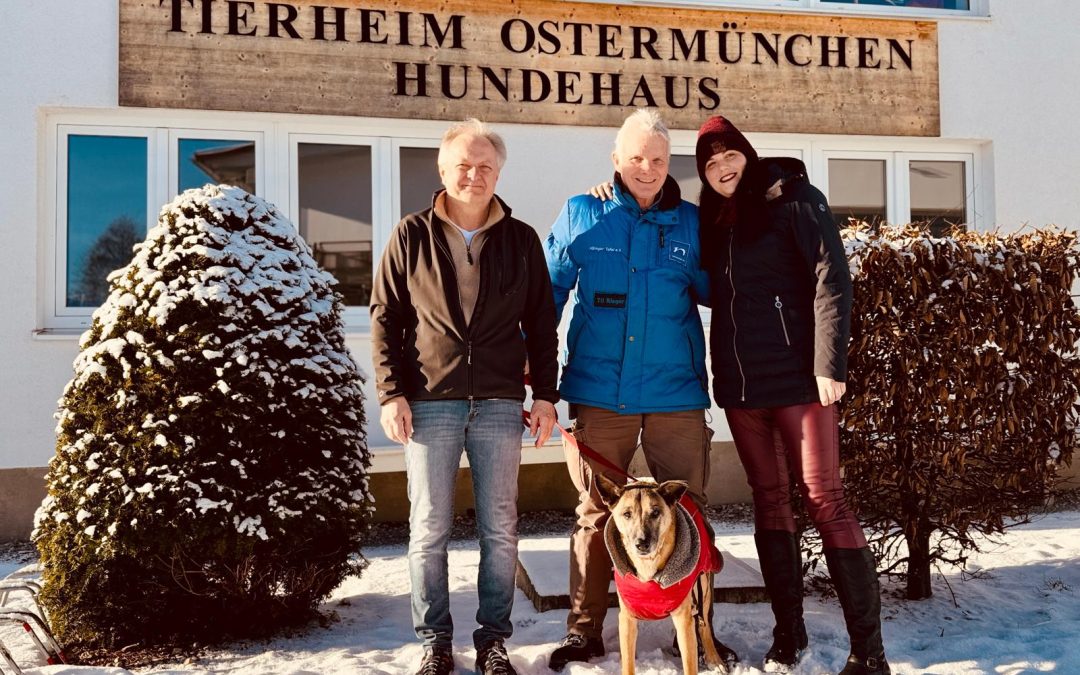 Mit Herz und Engagement: Friseurin Tanja Engelhardt sammelt 2.500 Euro für das Tierheim Ostermünchen