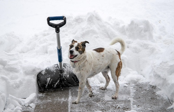 Stadt Rosenheim im Winter: So sichern Anlieger Gehwege bei Schnee und Eis