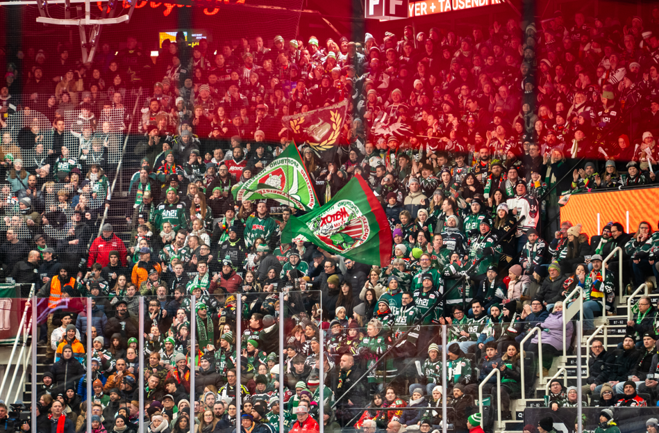 Starbulls 3 Starbulls Rosenheim gegen Düsseldorf am 23.1.2026 im Rosenheimer Eisstadion. Fotos: Copyright: Ludwig Schirmer, Peter Lion, David Löffler