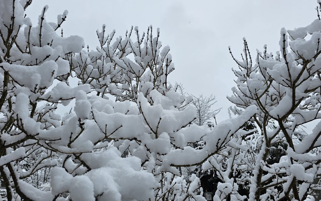 MorgenINNPULS – Schon gewusst?