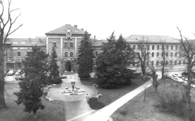 Rosenheimer Rathaus, 1970er