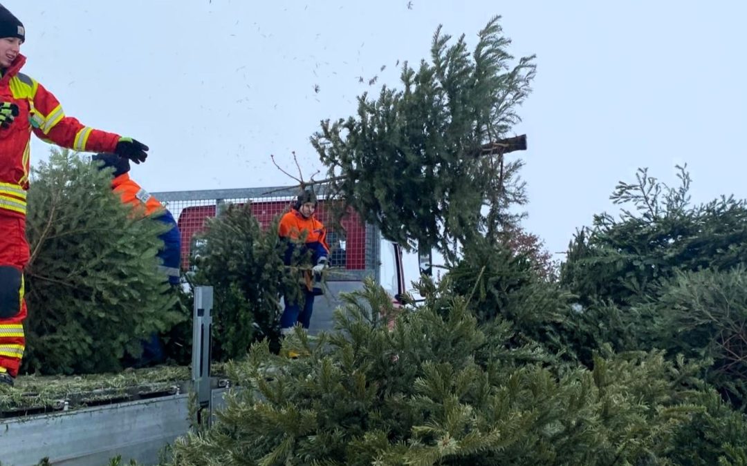 Jugendfeuerwehr Tittmoning sammelt 145 Christbäume für die Nachwuchsarbeit