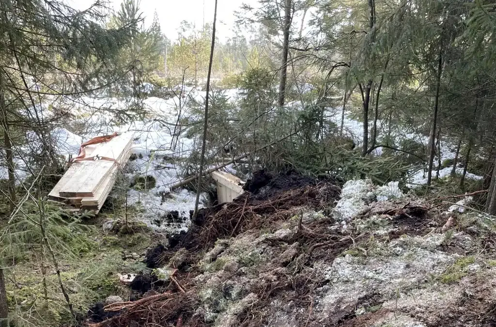 Eggstätt: Ein Hochmoor wird wiederbelebt
