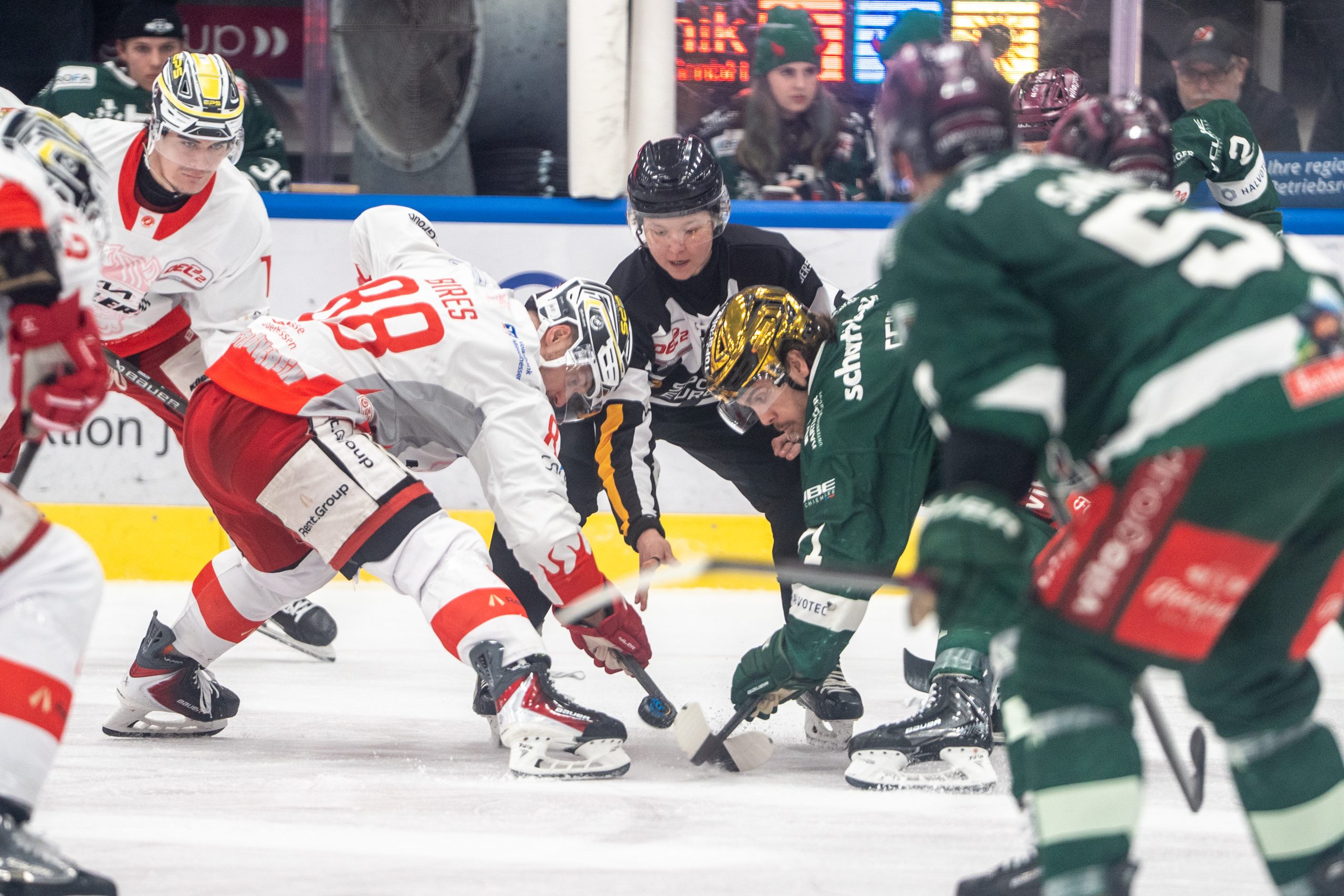C.J. Stretch (12), Starbulls Rosenheim, und Andrej Bires (88), EC Bad Nauheim, beim Bully. đ Platz drei gesichert! Die Starbulls Rosenheim gewinnen 4:3 gegen Bad Nauheim und sichern sich den dritten Tabellenrang â spannend bis zur letzten Sekunde! đđ€ Heute gehtâs weiter beim Topspiel gegen die Kassel Huskies â 17 Uhr in der Probonio-Arena Foto: Copyright Ludwig Schirmer und Dave Löffler