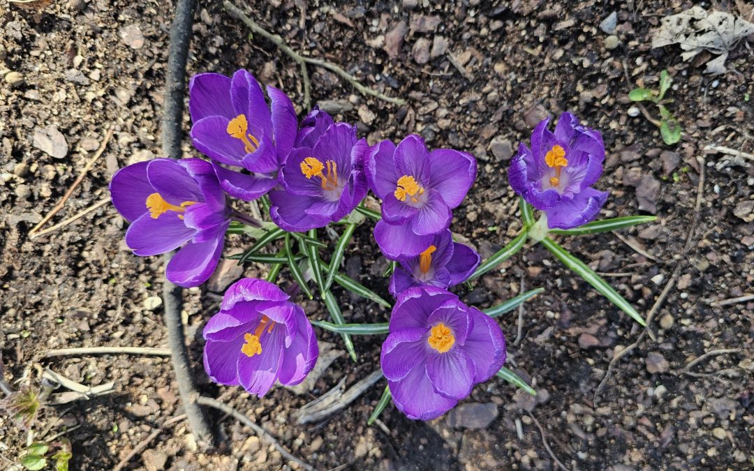 MorgenINNPULS – Schon gewusst?