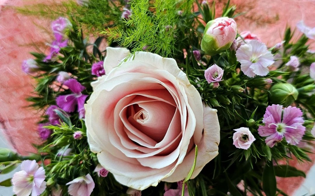 MorgenINNPULS – Schon gewusst?