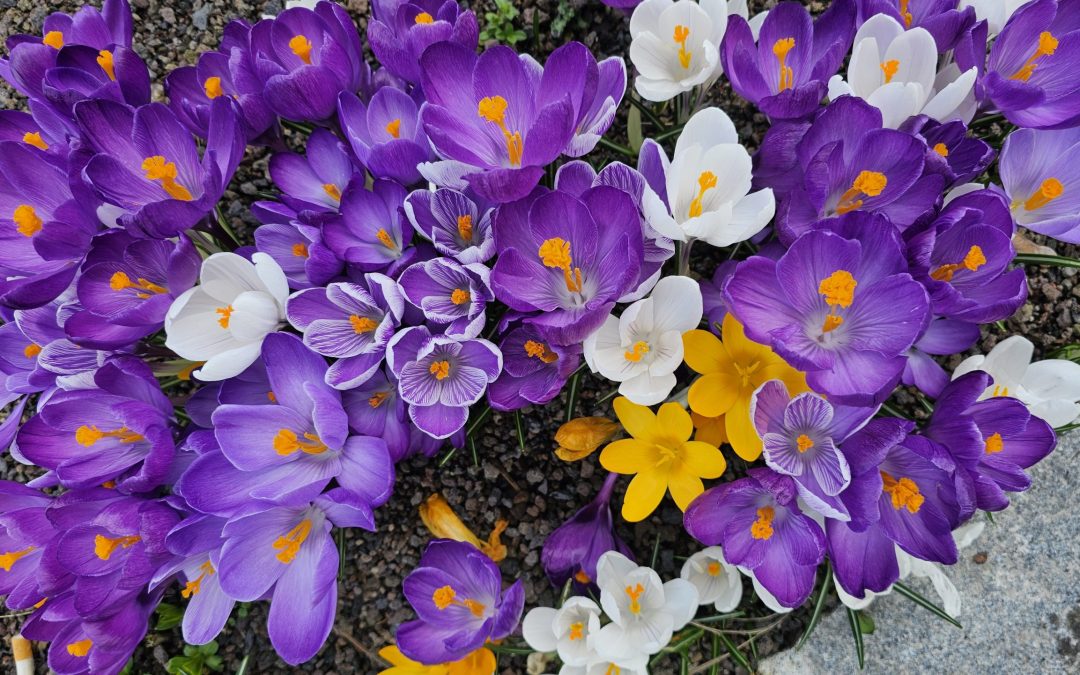 MorgenINNPULS – Schon gewusst?