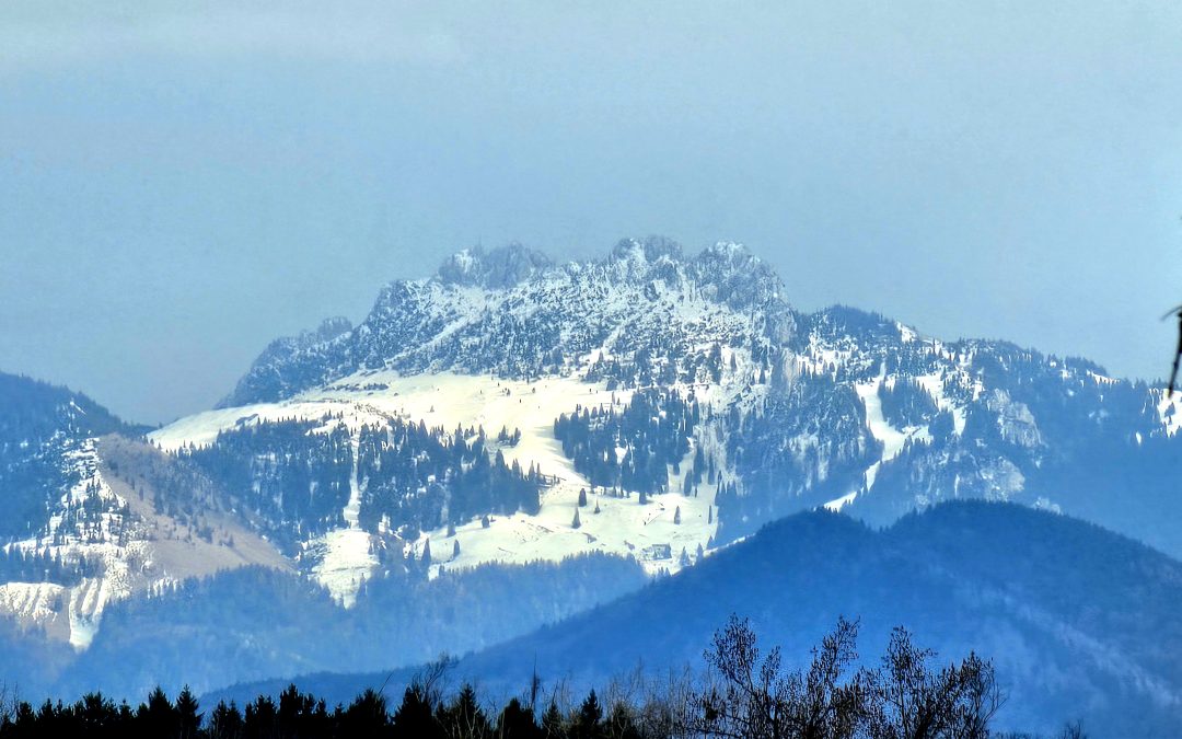 MorgenINNPULS – Schon gewusst?