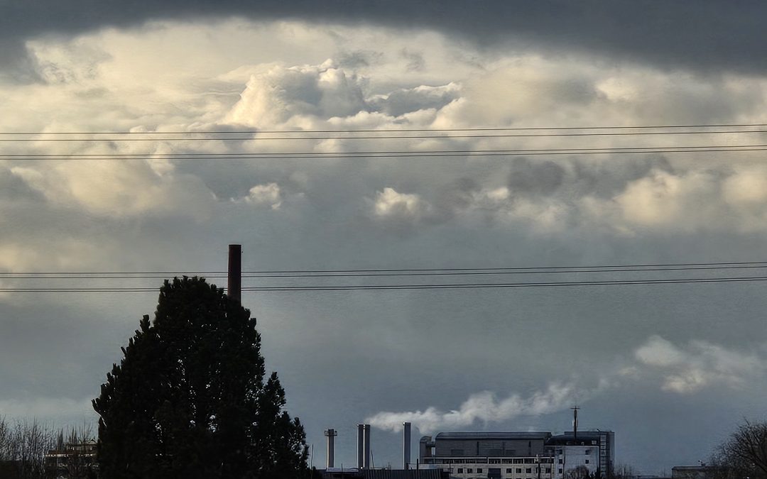 MorgenINNPULS – Schon gewusst?