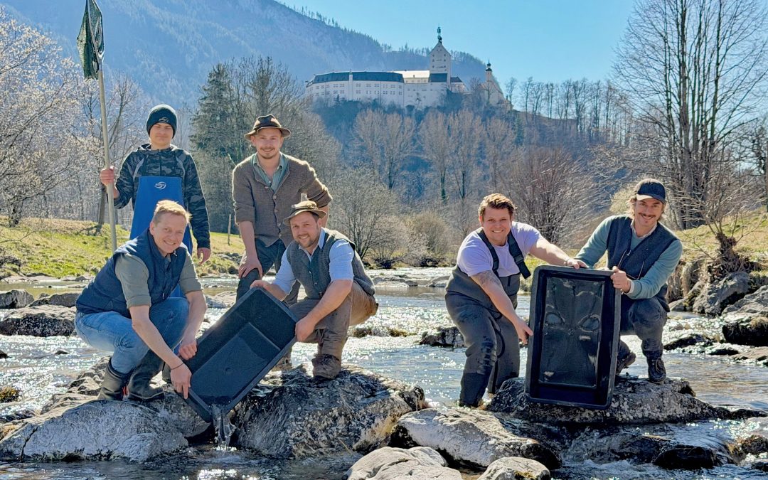 Mehrere tausend Forellen in die Prien eingesetzt