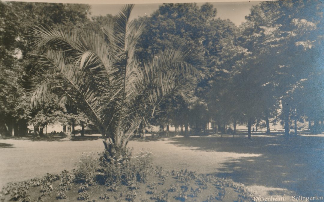 Salingarten, Rosenheim, 1960er