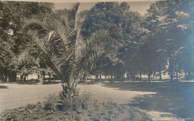 Salingarten, Rosenheim, 1960er