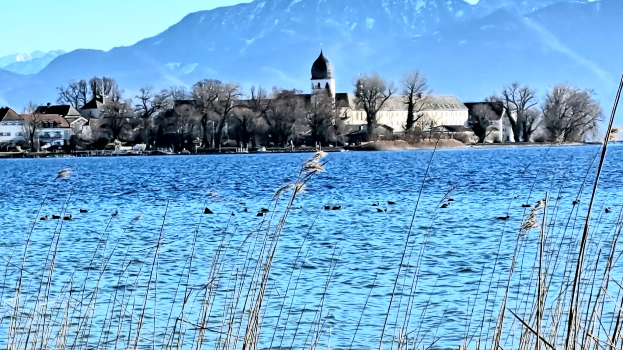 IMG-20260127-WA0000 Blick vom Vogelbeobachtungsturm Ganszipfel bei Gstadt am Chiemsee. Foto: Hendrik Heuser