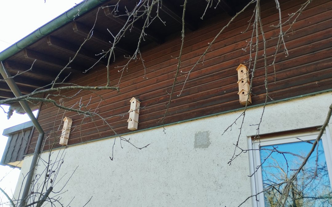 Rosenheims schnellste Wohnungsbau-Offensive – für die Vogelwelt