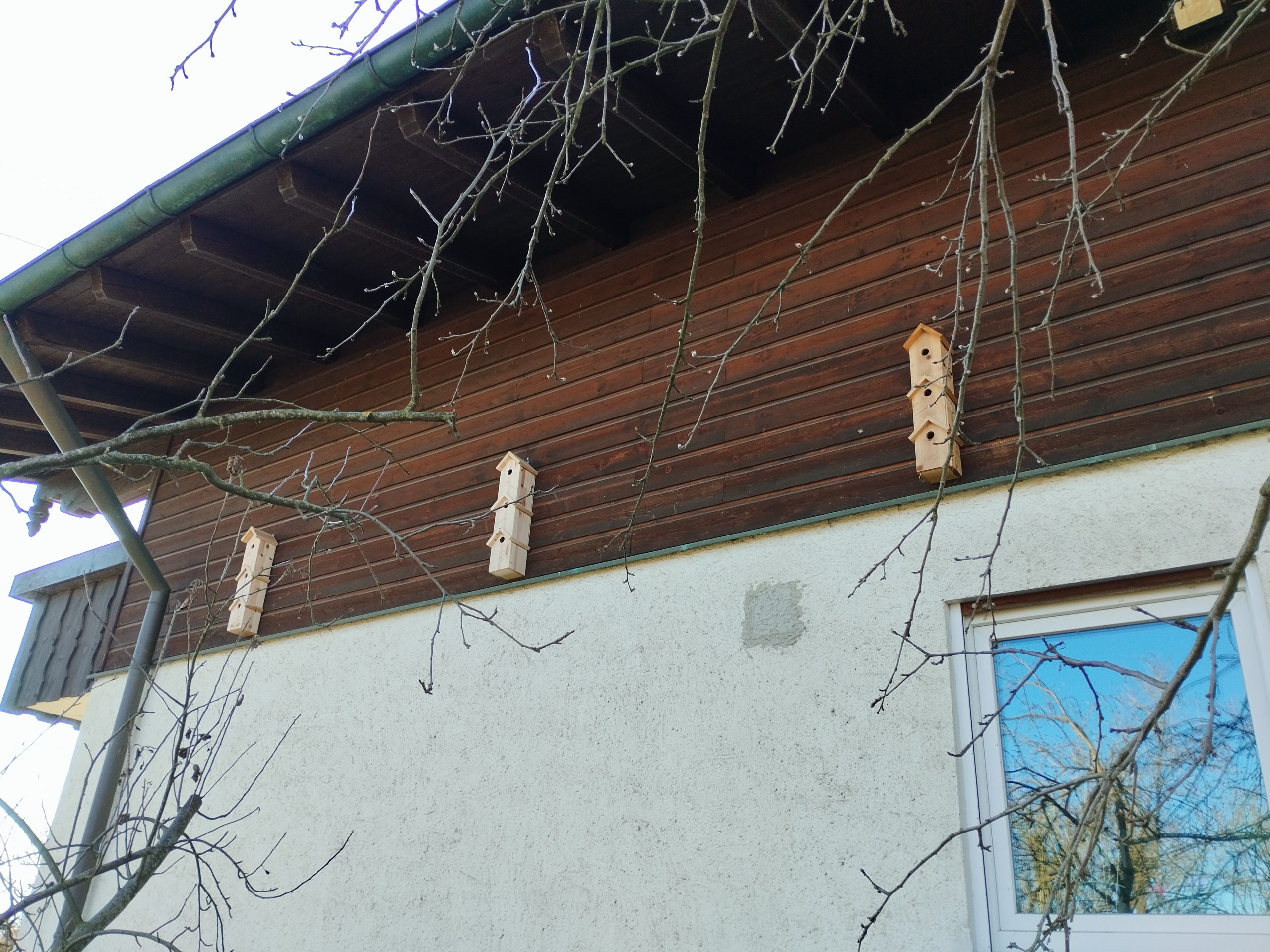 IMG_20260313_160630 Neue Nistmöglichkeiten an einer Hauswand. Foto: BBB