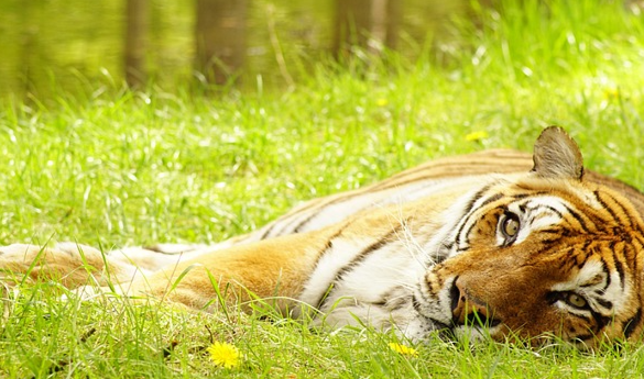 Frühling im Tierpark Hellabrunn