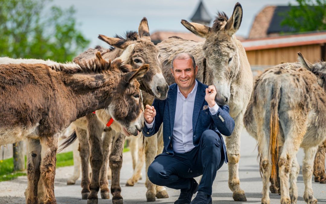 Gut Aiderbichl erreicht neuen Höchststand: Über 9.900 gerettete Tiere auf Europas Höfen