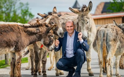 Gut Aiderbichl erreicht neuen Höchststand: Über 9.900 gerettete Tiere auf Europas Höfen