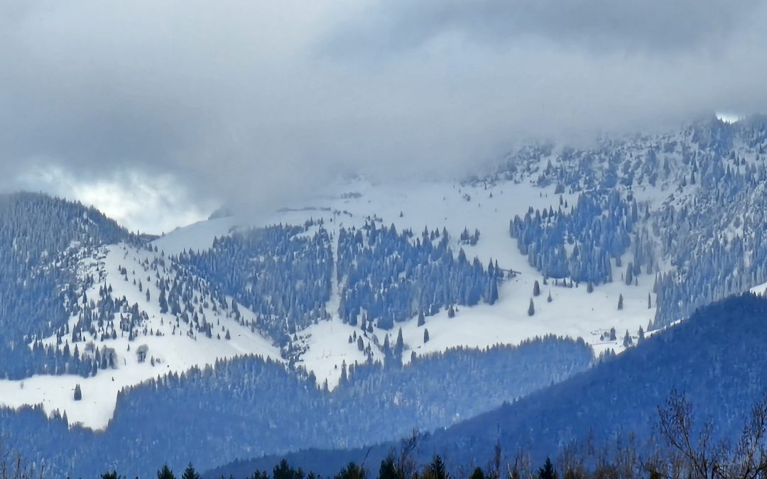 MorgenINNPULS – Schon gewusst?